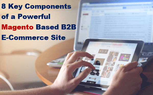 Magento Based B2B E-Commerce Site
